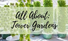 Tower Gardens Youth In Food Systems