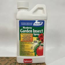 garden insect spray pest and disease