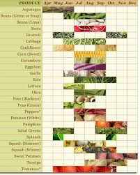 Chart Of Available Vegetables In Maryland Vegetable