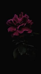 full hd black flower wallpaper