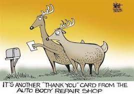 Is hitting a deer covered by car insurance? Deer Cartoon Deer Cartoon Auto Body Repair Shops Auto Body Shop
