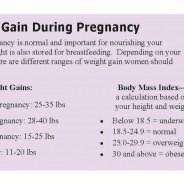 pregnancy healthy weight gain gaining