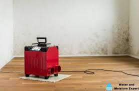 Dry Water Damage With A Dehumidifier