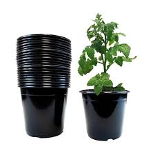 plastic nursery pots