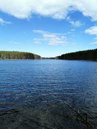 Воробьёво (озеро, Ленинградская область) — Википедия