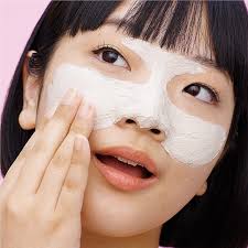 cleansing pore mask shiseido waso