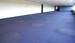 carpet restoration services all