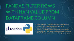 pandas filter rows with nan value from