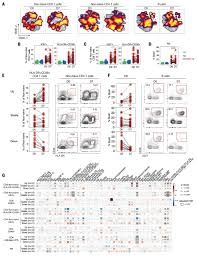White blood cell counts aubagio teriflunomide for. Deep Immune Profiling Of Covid 19 Patients Reveals Distinct Immunotypes With Therapeutic Implications Science
