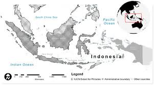 Vihara ksitigarbha bodhisattva, vihara seribu wajah di tanjungpinang. Biology Free Full Text Predicting Hotspots And Prioritizing Protected Areas For Endangered Primate Species In Indonesia Under Changing Climate Html