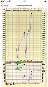 Bbt Chart Dont Understand It Help Countdown To Pregnancy
