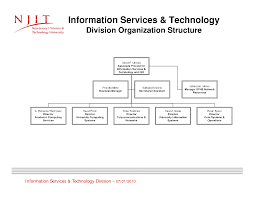 Information Technology Organizational Structure Examples