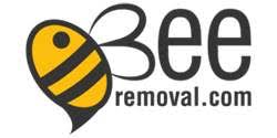 Once we have applied our 4 step perimeter pest control. Bee Removal Specialists In Phoenix Az Cityof Com