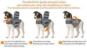 Calming Shirt for Dog: Effective & Gentle Solution | ThunderShirt