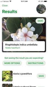 Technology Plant Id Apps Under The