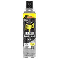 raid 17 5 oz wasp and hornet insect
