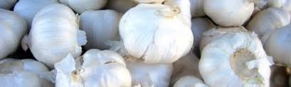 Mincing Garlic