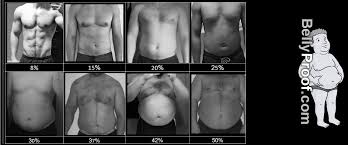 Body Fat Percentage Chart For Men Magdalene Project Org