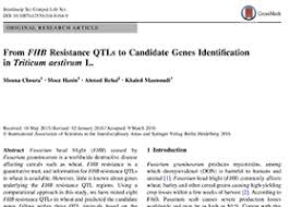 From Fhb Resistance Qtls To Candidate Genes Identification