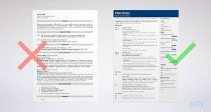 Chief Executive Officer Ceo Resume Examples 20 Tips