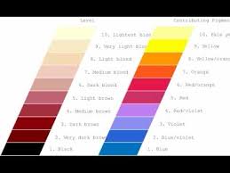 Hair Color Level Chart Lusual Com
