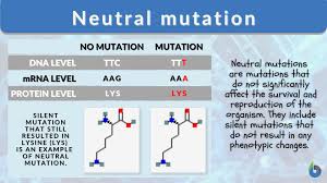 neutral mutation definition and