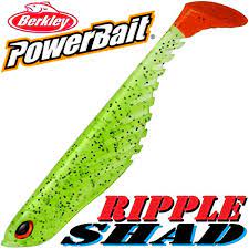 To convert 3.5 inches into cm we have to multiply 3.5 by the conversion factor in order to get the amount from inches to cm. Berkley Powerbait Ripple Shad Rubber Fish 3 5 Inches 9 Cm Bass Zander Lure Firetiger Set Of 5 Buy Online In Honduras At Honduras Desertcart Com Productid 61617845