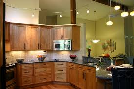 transitional kitchen designs layout