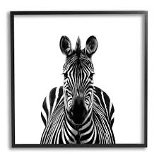 stupell industries realistic zebra