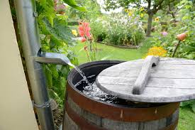 collecter l eau de pluie au jardin