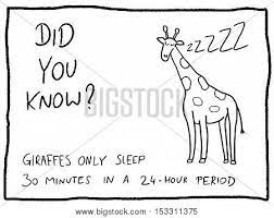 · 2) what is the only mammal capable of true flight? Animal Facts About Giraffe Fun Trivia Cartoon Doodle Concept Newspaper Funny Comic Fact Poster Id 153311375
