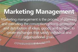 Marketing Management: Meaning, Definition, Application