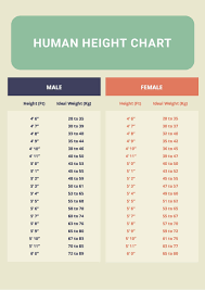 human height chart in pdf