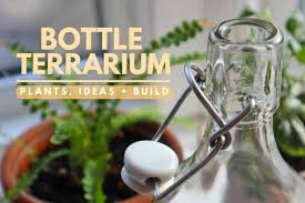 How To Make A Terrarium Bottle Garden