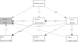 structural equation modelling graph of