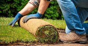 Methods for doing this include digging it out push it over the sod to press it down firmly against the soil. How To Lay Sod The Ultimate Guide Lawn Chick