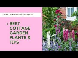How To Create A Cottage Garden Tips