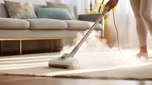 can i use a steam mop on carpet