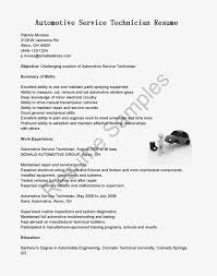healthcare resume   Our    Top Pick for Medical   Healthcare Resume  Development 