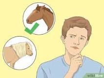 how-do-you-tell-your-parents-you-want-a-horse