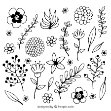 black and white spring flower collection