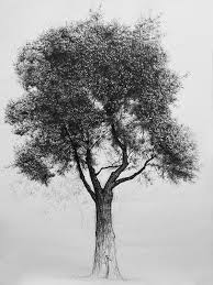 tree no 3 contemporary art