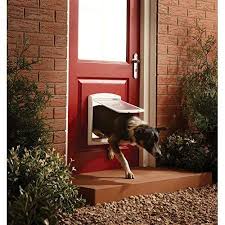 medium dog door flap 2 way locking gate