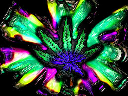 weed abstract hd wallpaper free