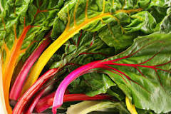 Can Swiss chard be eaten raw in salad?