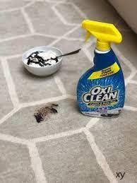 carpet cleaning with oxiclean carpet