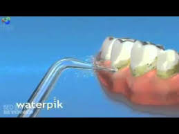waterpik ultra dental water jet wp100