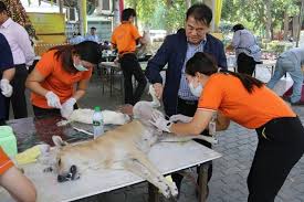 Mobile pet vaccinations available in san antonio, texas. Pattaya Vets Give Free Pet Sterilizations Shots Pattaya Mail