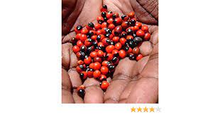 Astroghar Natural red chirmi Beads (21 pcs) gunja, goonja Seeds, gurivintaa  Seeds, ratee : Amazon.in: Garden & Outdoors