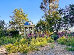 Visiting Niguel Botanical Preserve